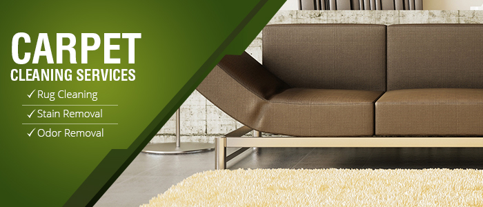 About Carpet Cleaning Services